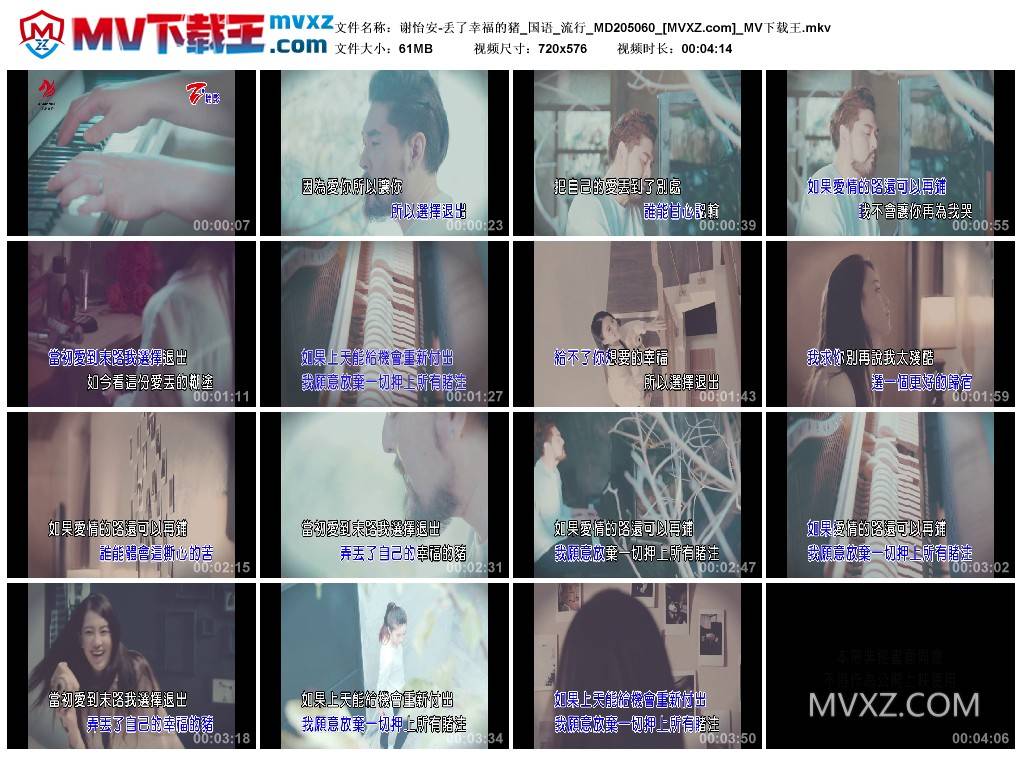 谢怡安-丢了幸福的猪_国语_流行_MD205060